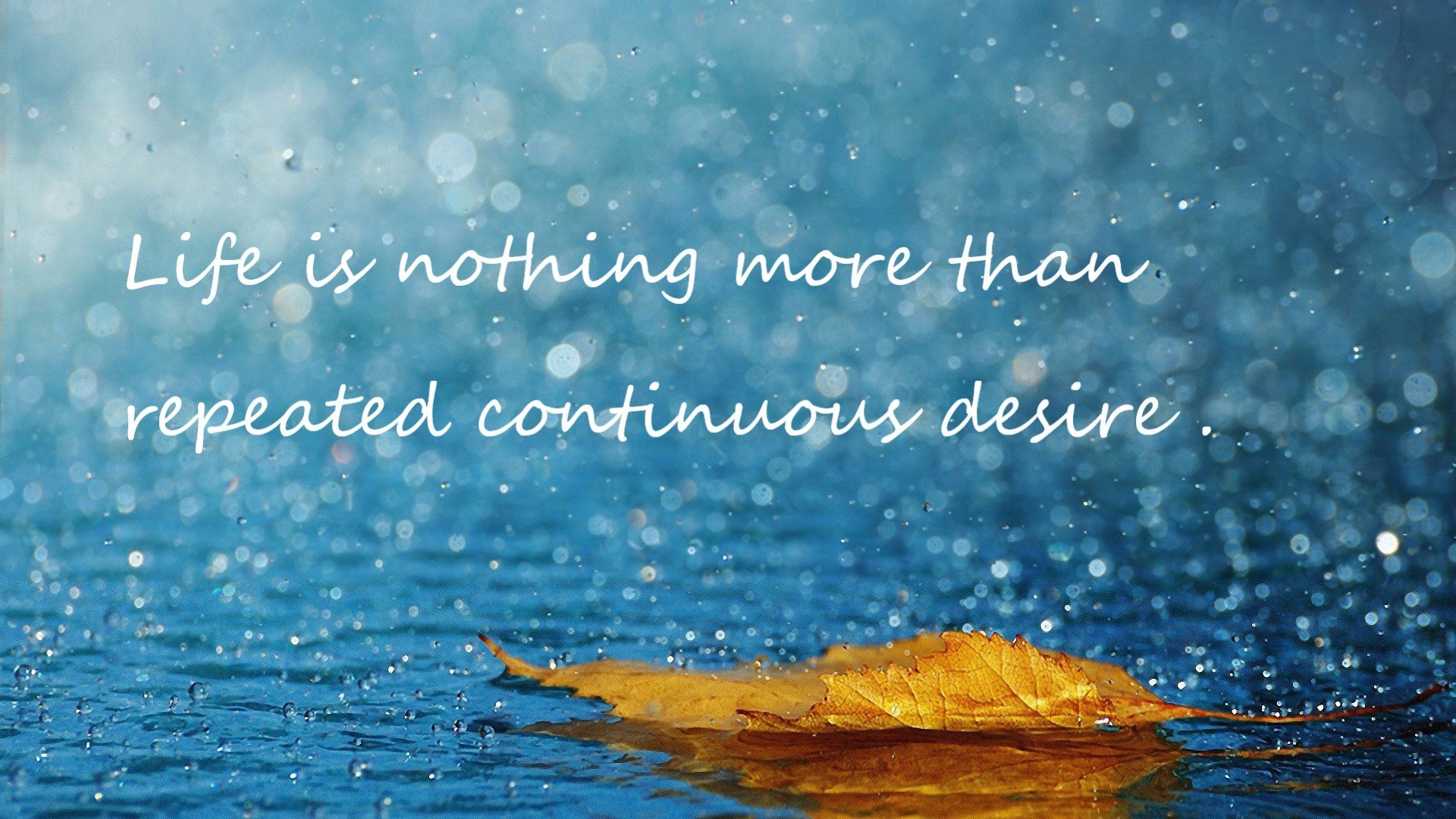 世锦赛游泳项目结束,中国收获12金稳居第一,游泳世锦赛奖金多少