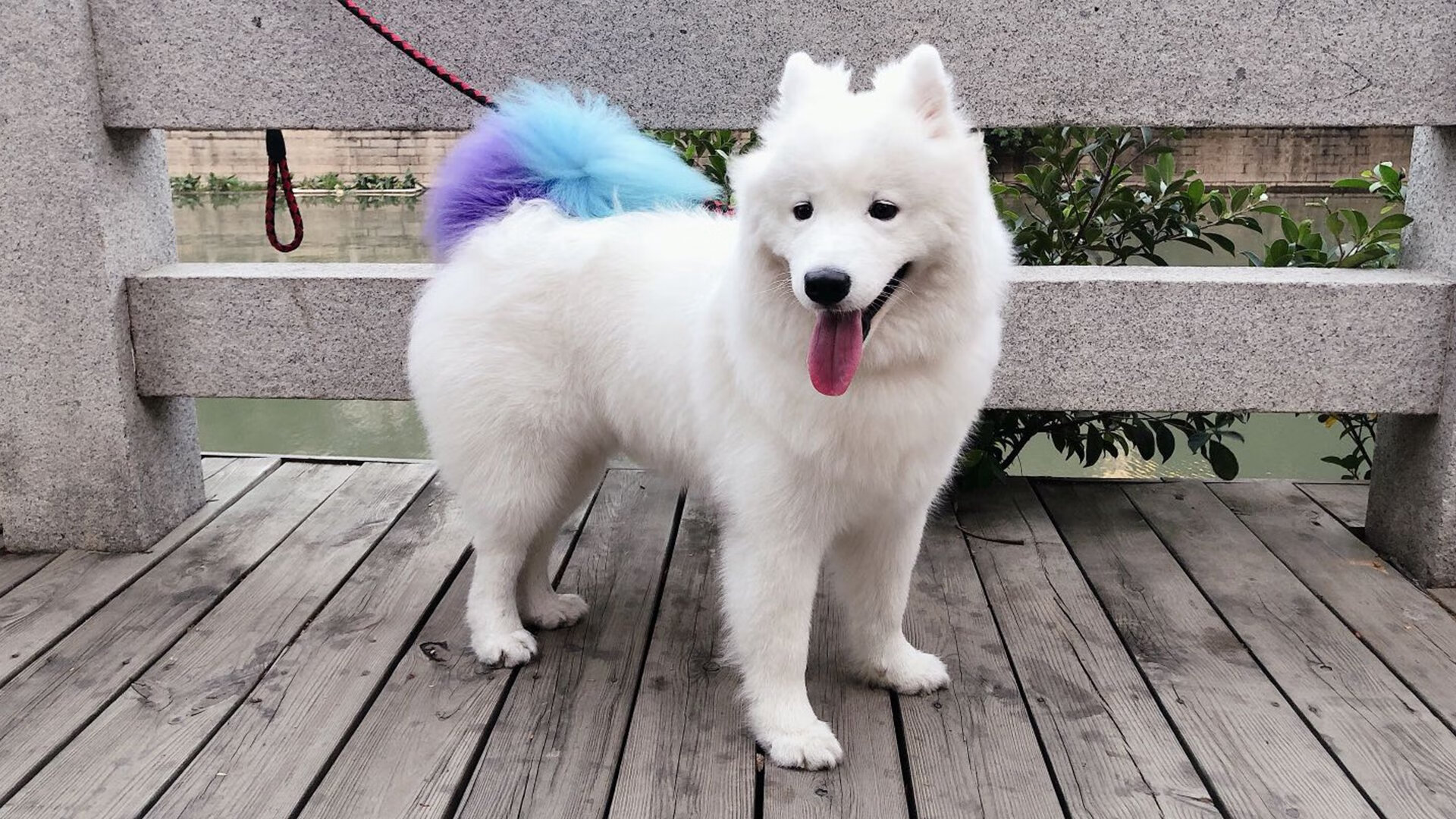 北京国安防守表现稳固,北京国安官宣