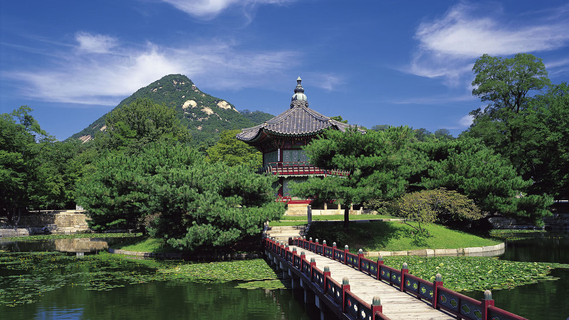 猛龙外线火力强劲,对手难以招架,猛龙完整版