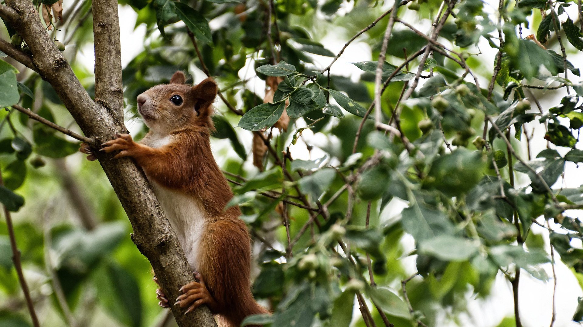 精彩绝伦的比赛中让球迷们尽享视觉盛宴，球赛很精彩