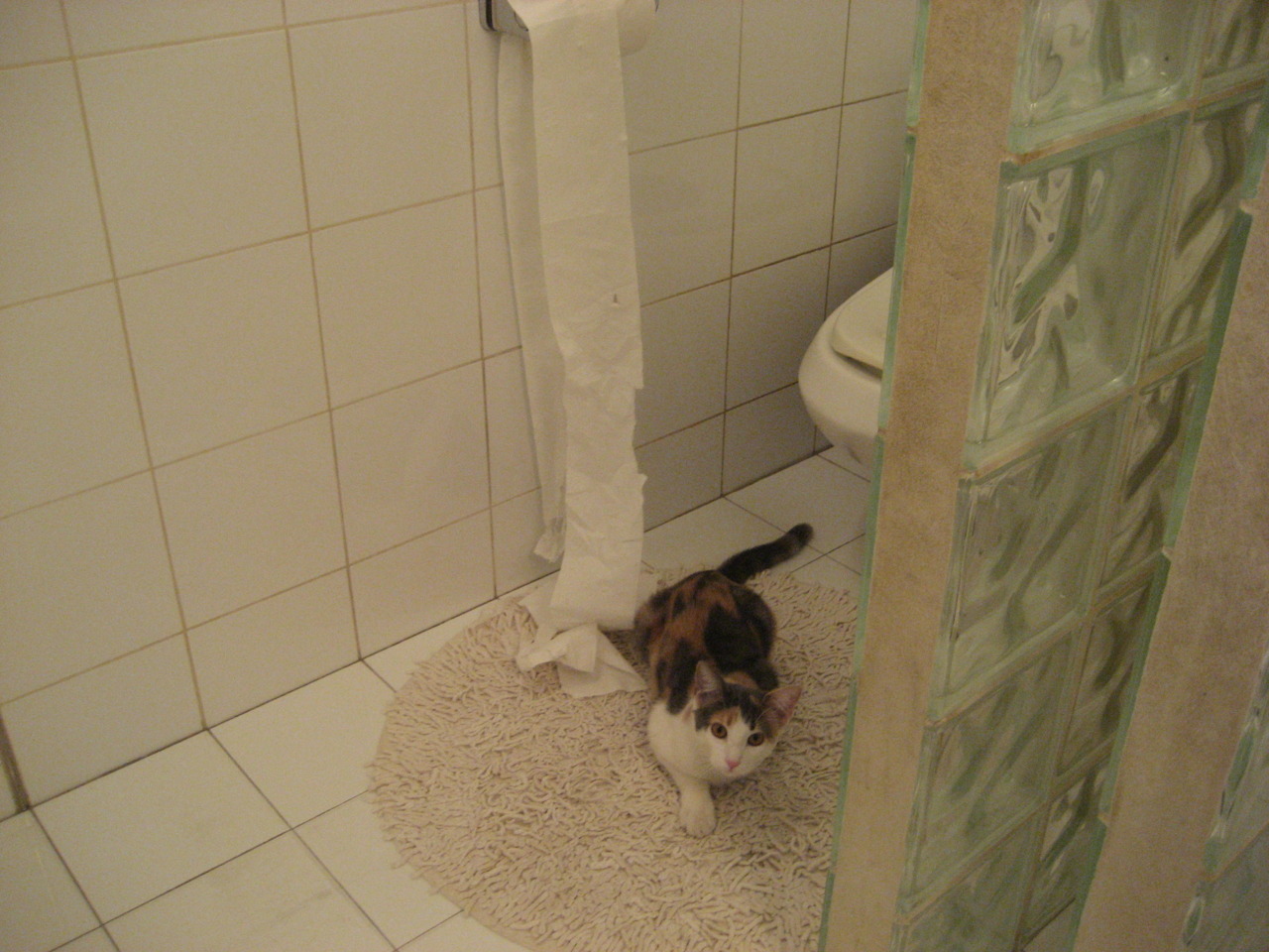 乐鱼（LEYU）体育-阿拉沙福特对决云达不来梅，保级压力山大