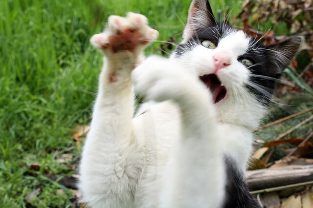 体育赛事品牌推广模式创新,体育赛事营销有哪些创新方式