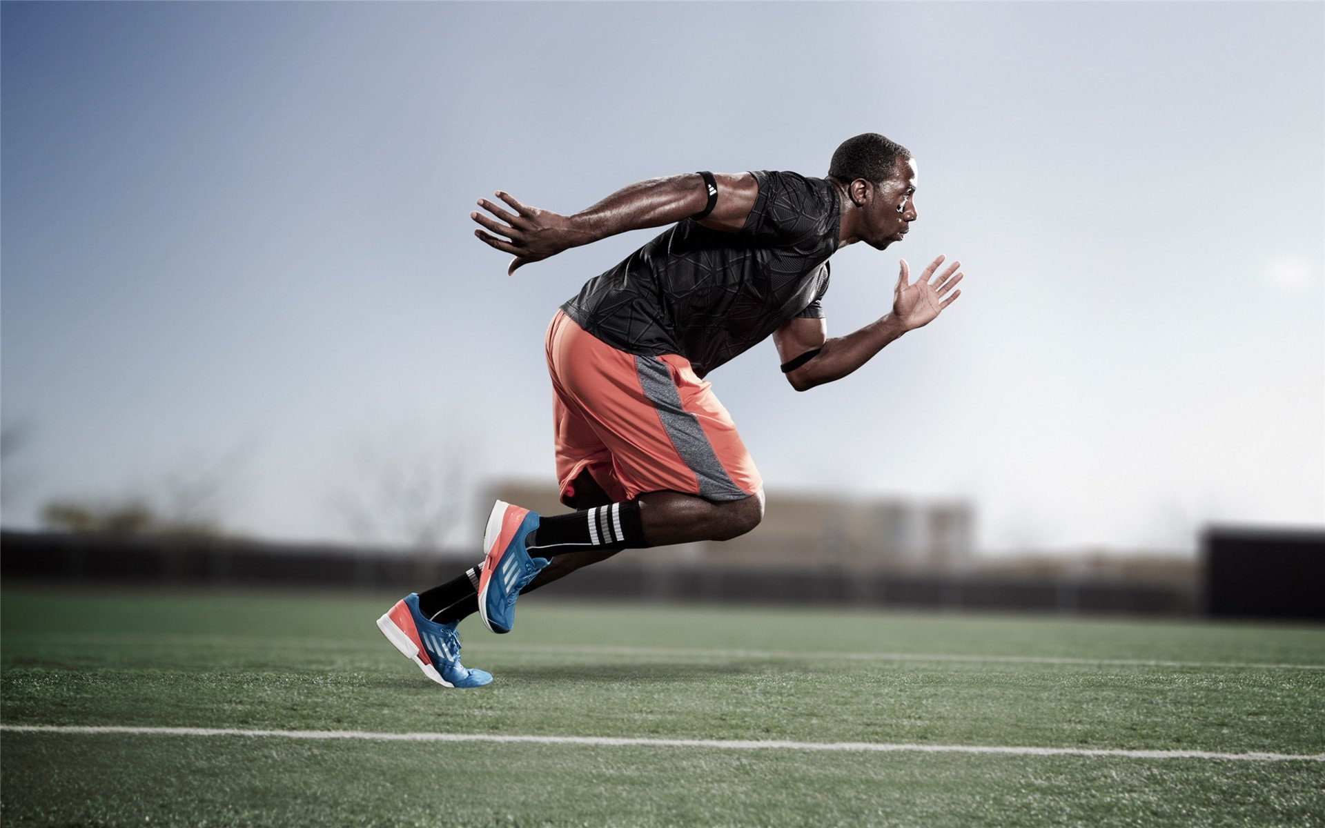 高校运动康复训练技术研究，运动康复技术学陈建