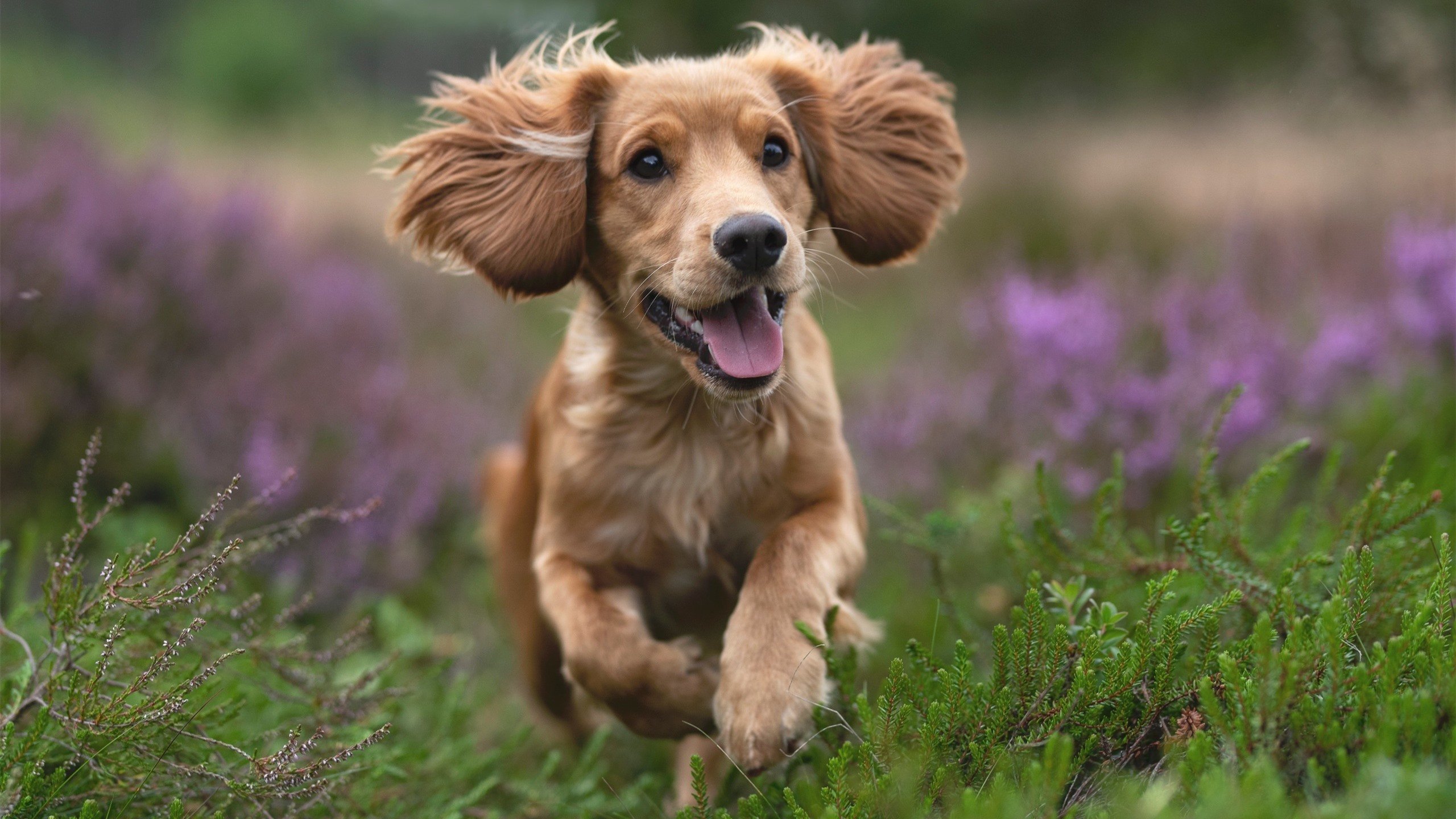 校园篮球课时不足是否影响基本功培养，篮球课时训练计划表