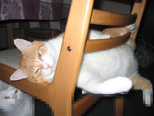 林丹完成绝杀瞬间全运会羽毛球,林丹体育羽毛球比赛视频