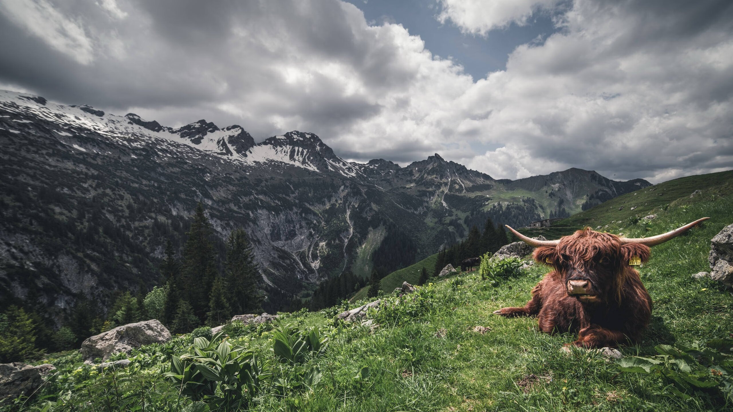 APP下载 LY Sports-法甲新星冉冉升起：未来足球领袖的开始！，法甲现役十大球星