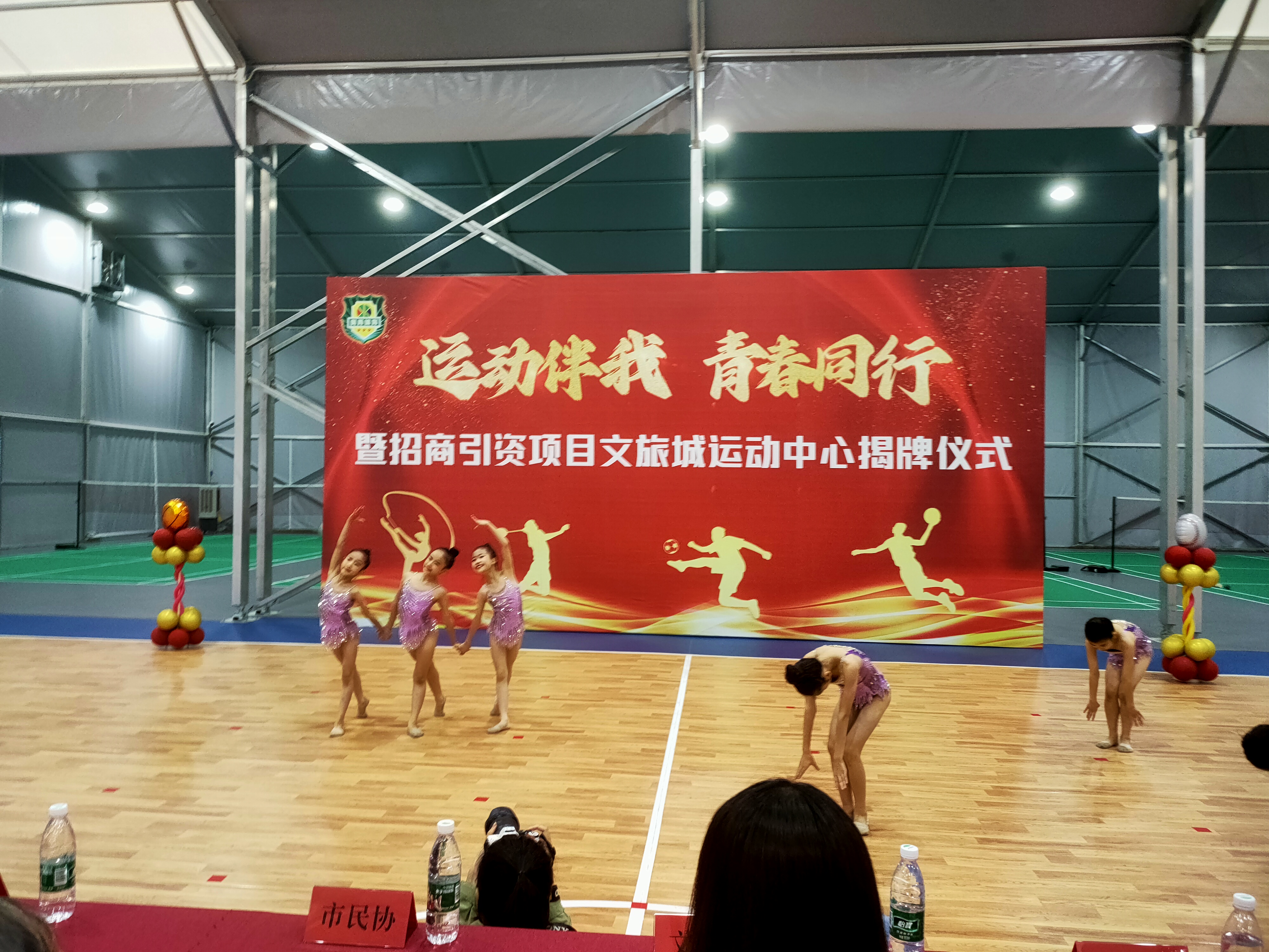 关于"城市运动会的举办：促进当地体育文化"的信息